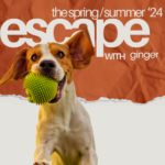 dog jumping with ball in mouth infront of the word 'escape' in large letters