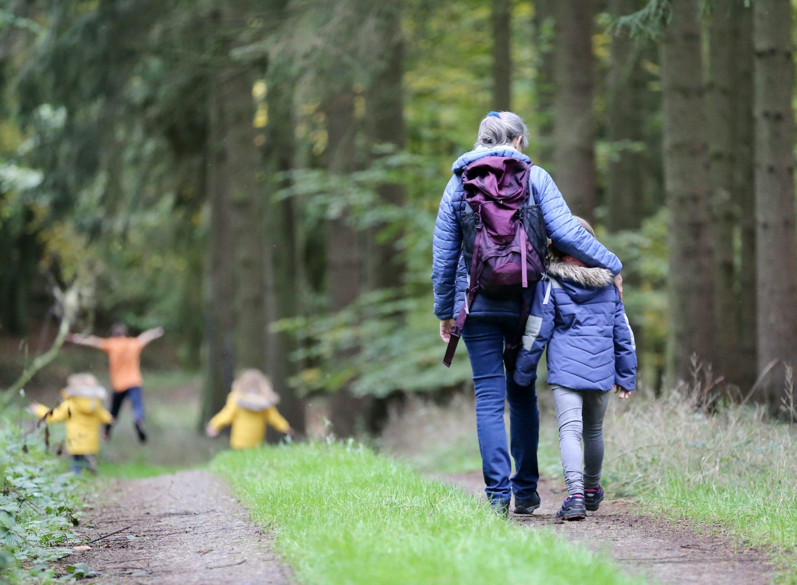 family walking in the forest